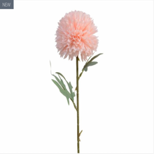Load image into Gallery viewer, Blush Pink Hydrangea Stems - Bouquet of 6 Stems