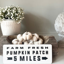 Load image into Gallery viewer, Pumpkin Patch Metal Sign