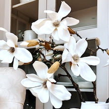 Load image into Gallery viewer, Magnolia Stems
